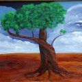Der heilige Ölbaum (Römer 11)